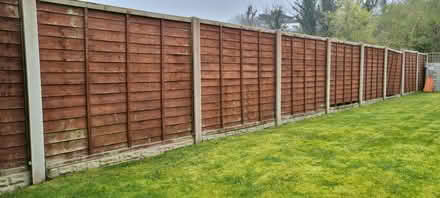 Photo of free Fence Panels (Bolton le Sands LA5) #1