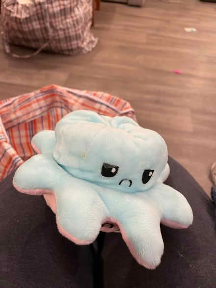 Photo of free Turn inside /out teddy (Wandsworth SW18) #2