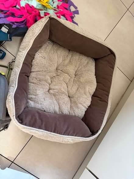 Photo of free Dog items (Worsley M28) #4