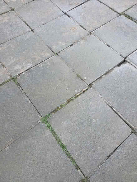 Photo of free Gray paving slabs (Bangor, BT20 4QX) #1
