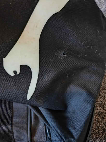 Photo of free Luggage holdall (Greengates BD10) #3