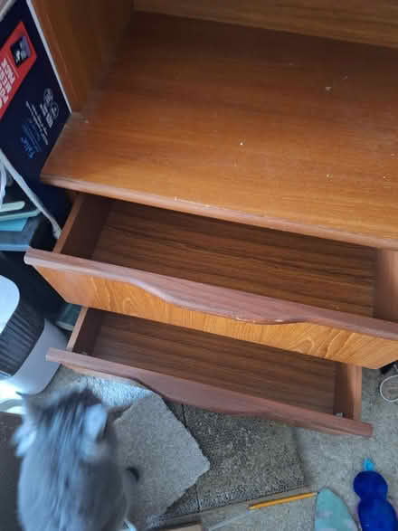Photo of free Old cabinet (Monkerton EX1) #1