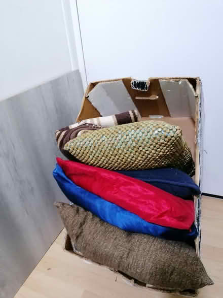 Photo of free Cusions and rug S1 (sheffield S1) #2