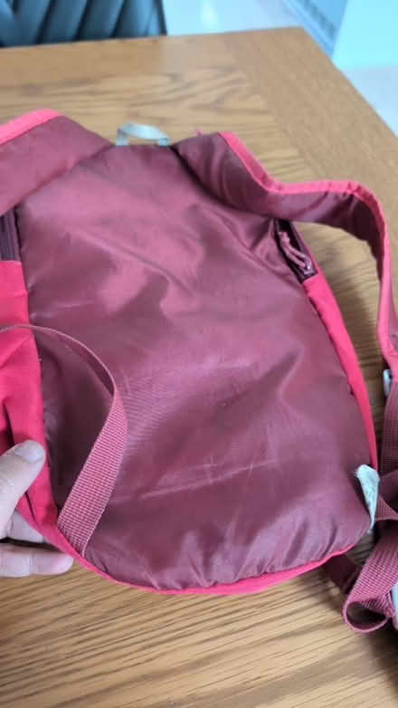 Photo of free Small pink rucksack (Dagenham RM10) #2