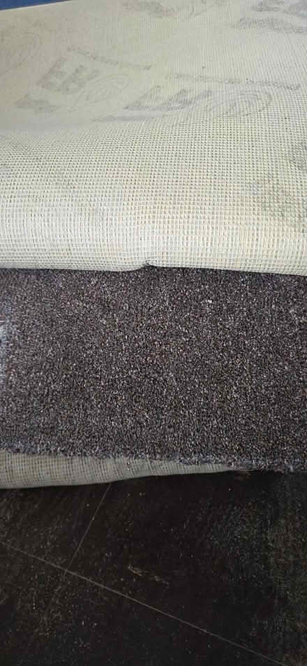 Photo of free Brown carpet (Penilee G52) #1