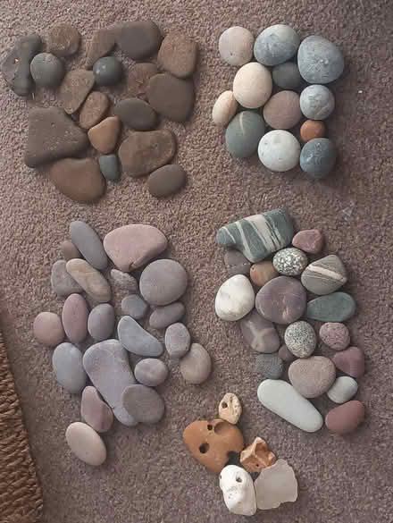 Photo of free Sea pebbles for garden/craft (Bexhill-on-Sea) #1