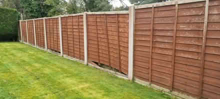 Photo of free Fence Panels (Bolton le Sands LA5) #2