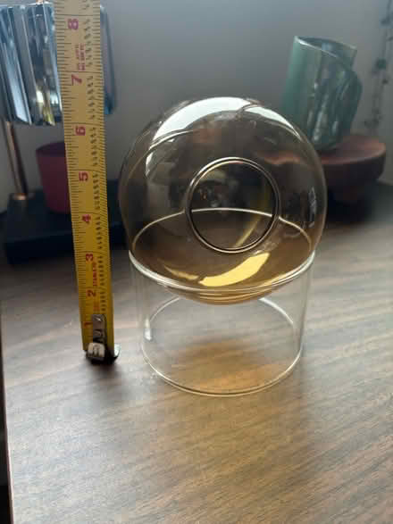 Photo of free Air plant holder from target (Issaquah) #4