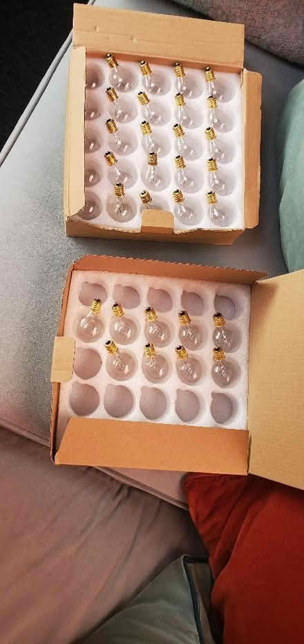 Photo of free 34 Incandescent festoon outdoor lightbulbs. (Tye Green Village CM18) #1