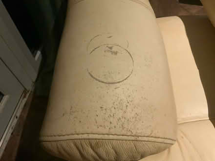 Photo of free Dual motor rise and recliner (Gt Billing) #4