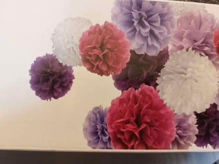Photo of free Tissue paper pom pom display (Wrose BD2) #2