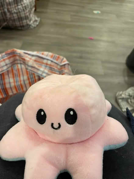 Photo of free Turn inside /out teddy (Wandsworth SW18) #1