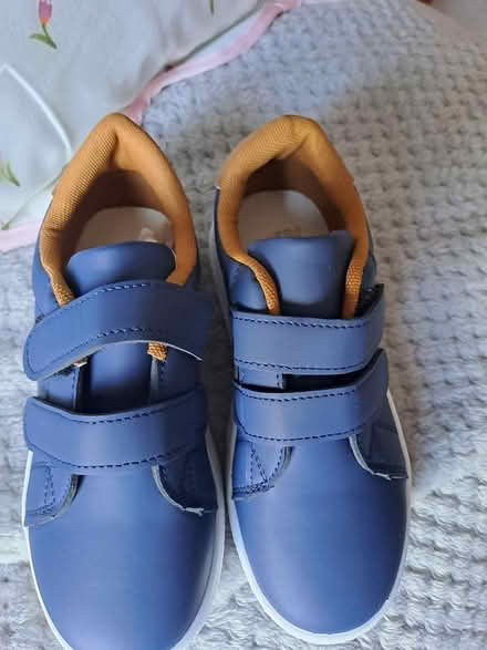 Photo of free Trainers (St jhons Woking) #1