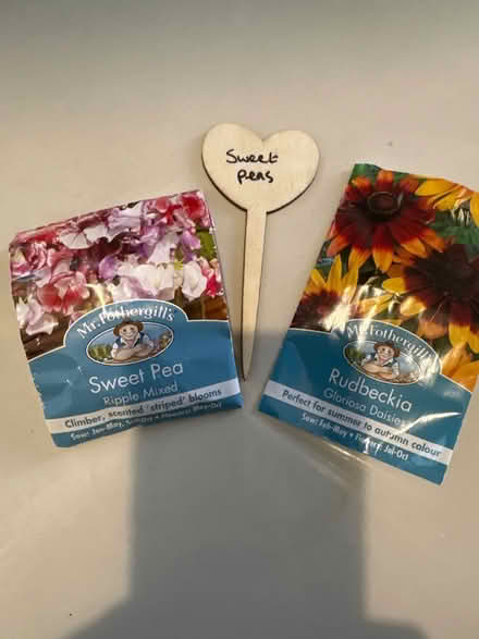 Photo of free Outdoor flower seeds (CO4 9 Colchester) #1