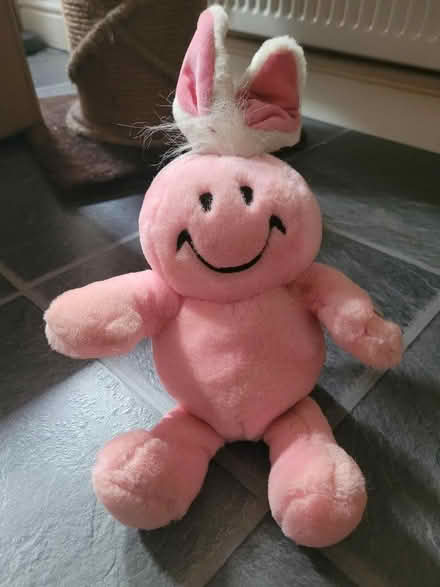 Photo of free Cuddly toy that laughs when you press its arm (Shenley Fields B29) #2