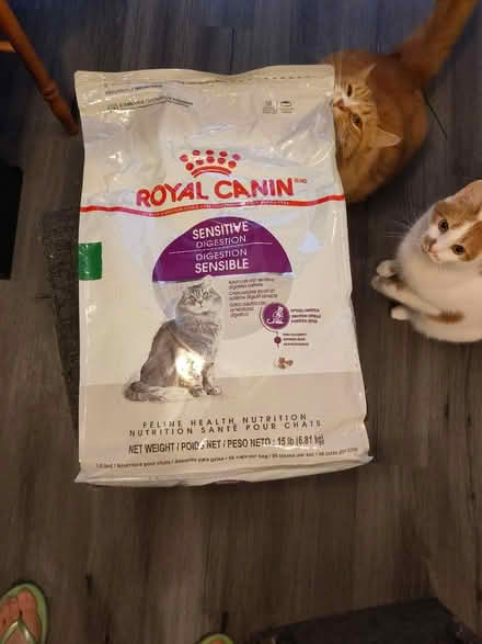Photo of free Cat Food - Royal Canin (Capitol Hill) #1