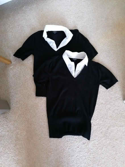 Photo of free Ladies size 12 tops (Langney BN23) #1