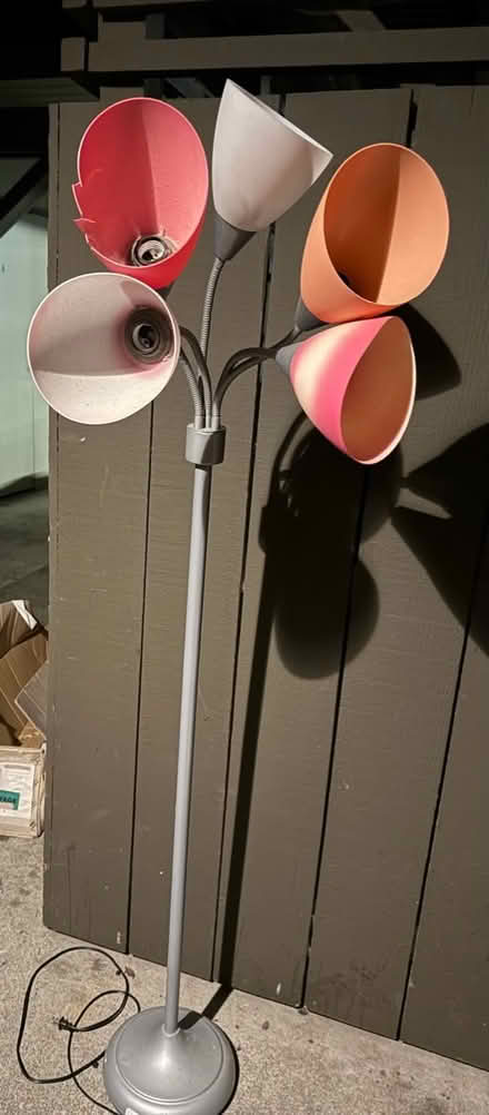 Photo of free Floor lamp with 5 adjustable shades (1075 Valencia Avenue) #1