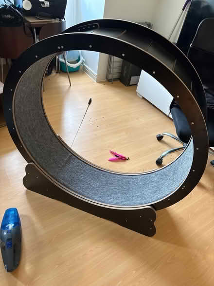 Photo of free Cat wheel (Turnford EN10) #1