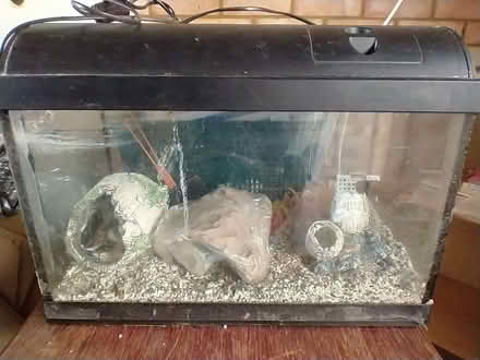 Photo of free Fish tank (Flitwick MK45) #1
