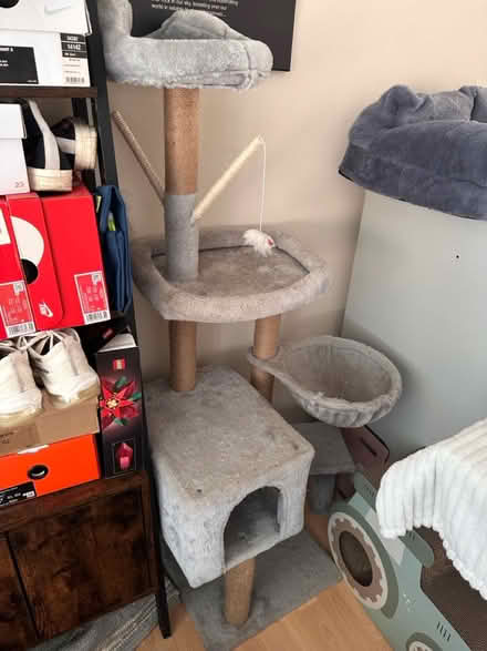 Photo of free Cat tree (RG30, Reading West) #1