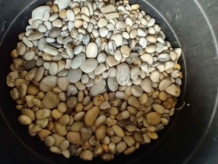 Photo of free Fish tank (Flitwick MK45) #3