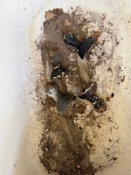 Photo of free Vintage iron claw foot tub (La Grange 60525) #2