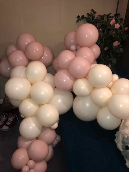 Photo of free Balloon arch (Spencers wood RG7) #2