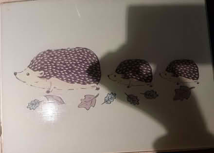 Photo of free glass worktop saver, hedgehogs (Stratton Strawless NR10) #1