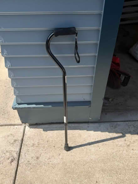 Photo of free Cane, adjustable (La Grange 60525) #1