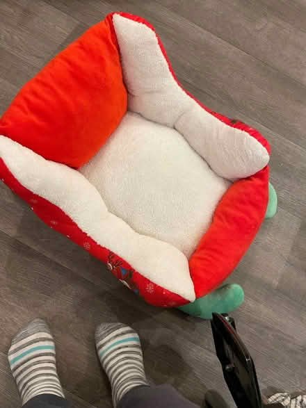 Photo of free Cat/dog sleigh bed (Wandsworth SW18) #2