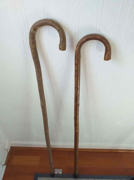 Photo of free Wooden walking sticks (Garthdee AB10) #1