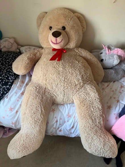 Photo of free Huge tedy bear (Brentford) #1