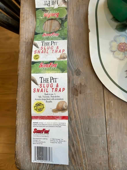 Photo of free Slug beer traps X2 (Norham Manor OX2) #4