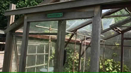 Photo of free Alton Wooden Greenhouse (Arundel BN18) #3