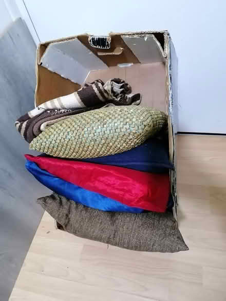 Photo of free Cusions and rug S1 (sheffield S1) #1