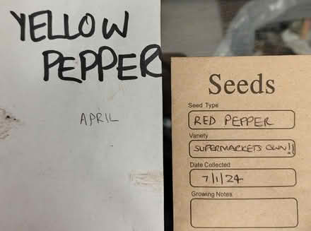 Photo of free Various seeds (BH9, Winton) #4