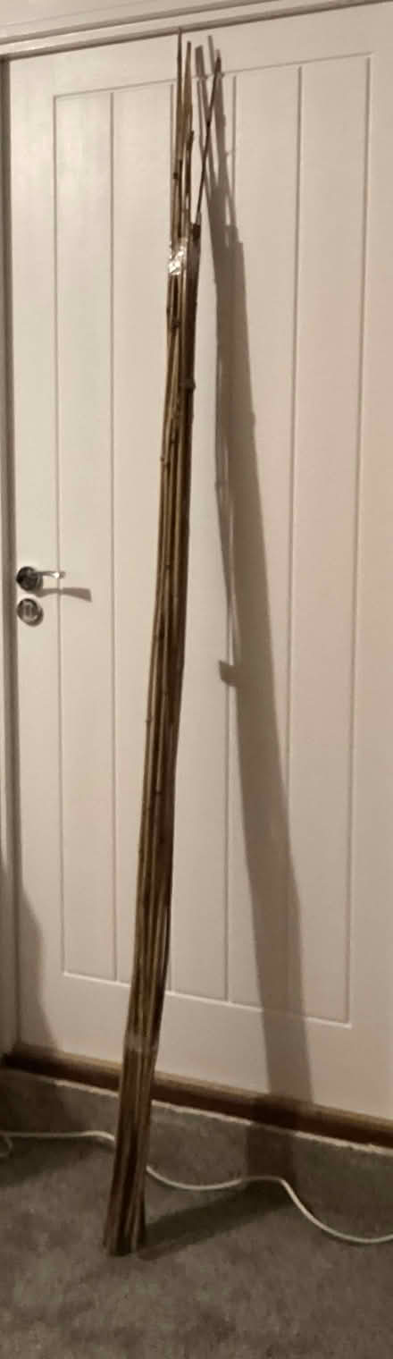Photo of free Garden Canes (Bowburn DH6) #1