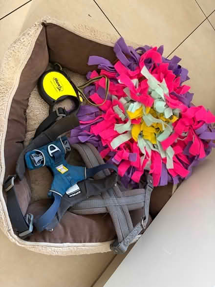 Photo of free Dog items (Worsley M28) #1