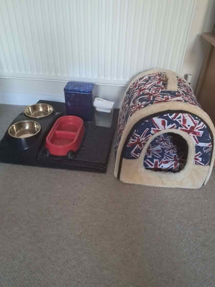 Photo of free Cat igloo. Dishes. Empty tin (Barkerend BD3) #1