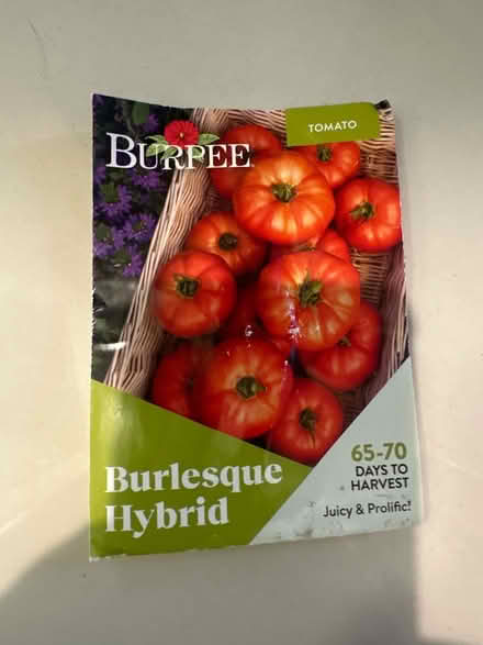 Photo of free Tomato seeds (CO4 9 Colchester) #1