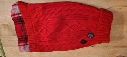 Photo of free Pet sweater (South beacon hill) #1