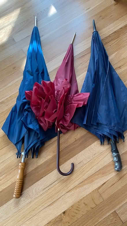 Photo of free Umbrellas in Teddington (TW11 Teddington) #1