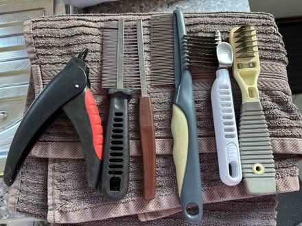 Photo of free Dog grooming (Elrick AB32) #1