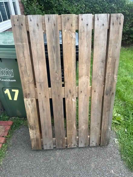 Photo of free One single pallet (BR1) #1