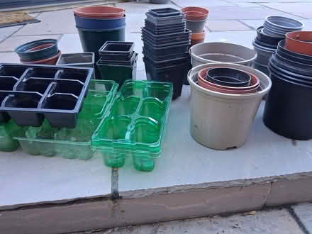 Photo of free Job lot of plant pots (Elrick AB32) #2