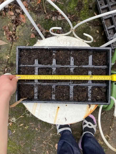 Photo of Plastic plant trays (15” x 9” min) (Hunters Bar S11) #2