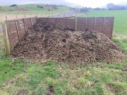 Photo of free Organic horse manure (Llandrindod LD1) #1