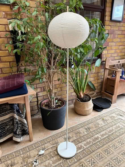 Photo of free Floor Lamp (Seaford BN25) #1