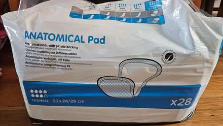 Photo of free Absorbent pads (Brunstane EH15) #1